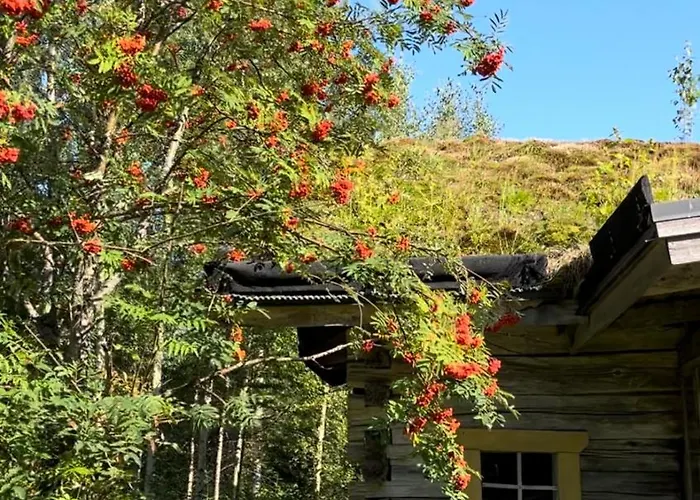 Valonranta Chalet Saarijärvi